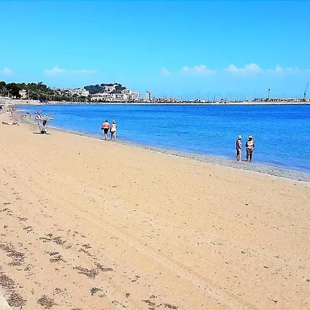 Oasis *